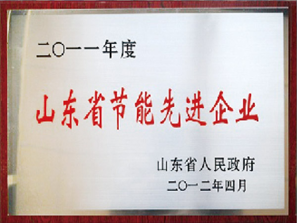 山東省節能先進企業